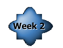 Week 2 Assignments