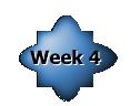 Week 4 Assignments
